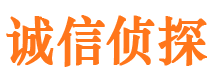 向阳外遇调查取证